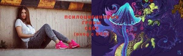 гидропоника Алзамай