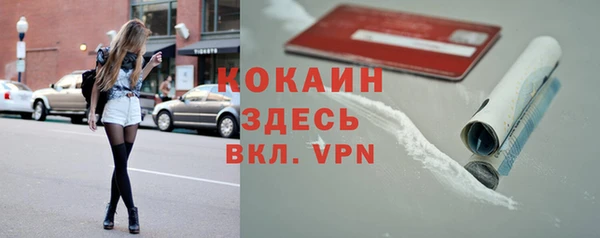 соль ск Алексин
