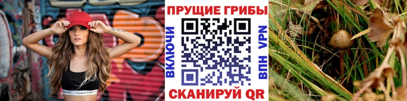 где можно купить наркотик  shop Telegram  Галлюциногенные грибы Psilocybe  Лебедянь 